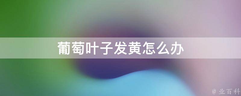 Ҷӷô